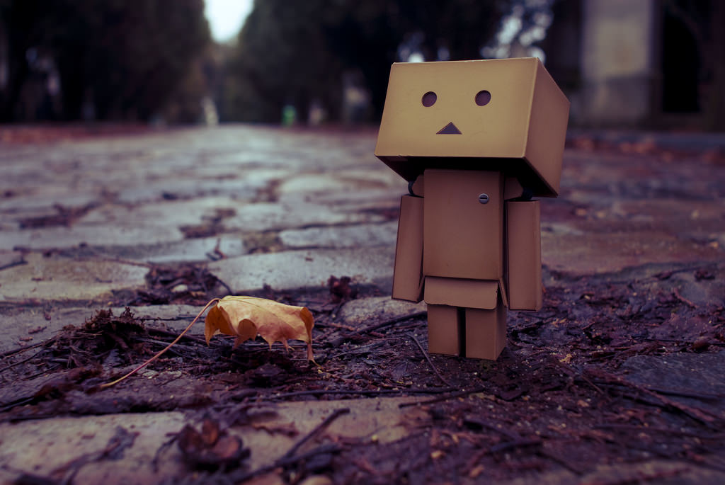 danbo2_photo