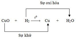 su-khu-va-su-oxi-hoa -65