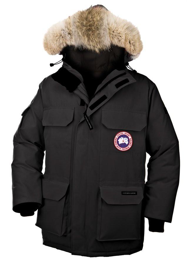 Kt quả hình ảnh cho canada goose