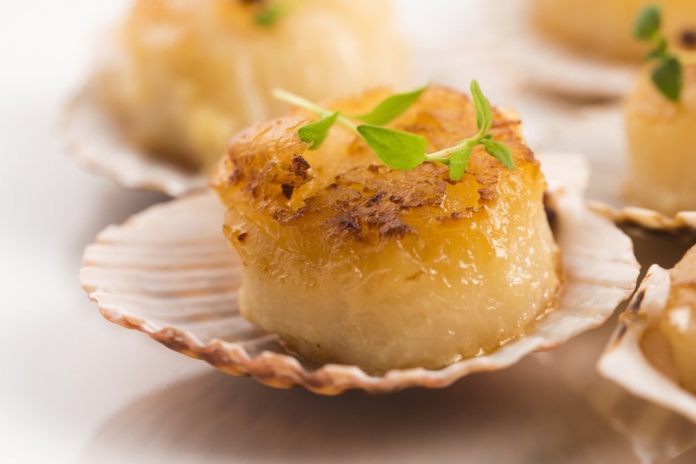 coquilles-st-jacques