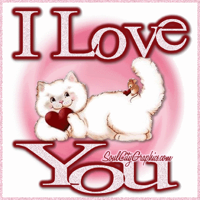 990_i_love_you_cat
