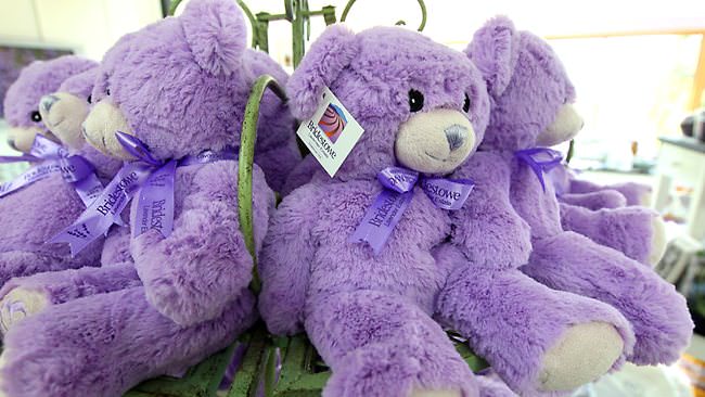 989854-lavender-bear