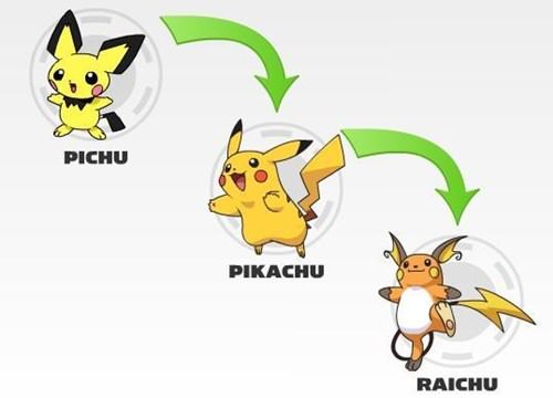 Kt quả hình ảnh cho pokemon pikachu tin hóa