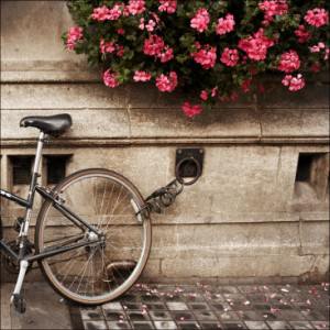 oxford_bicycle_flowers