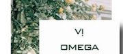 Vị Omega Thơm Ngon Mềm Mại Kia