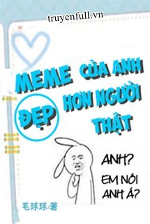 Meme của anh đẹp hơn người thật Manhua là truyện tranh thuộc thể loại gì?