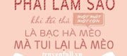 Phải Làm Sao Khi Đối Thủ Một Mất Một Còn Là Cỏ Mèo Bạc Hà Mà Tui Lại Là Mèo