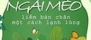 Ngài Mèo Liếm Bàn Chân Một Cách Lạnh Lùng